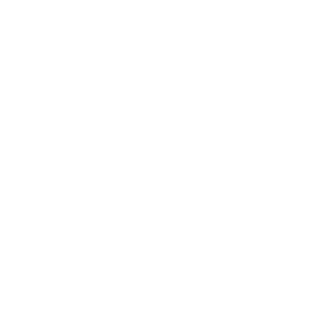 Wise International